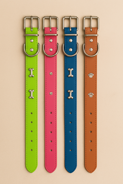 Collar para Perro