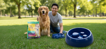 Plato De Alimentación Lenta Para Perros