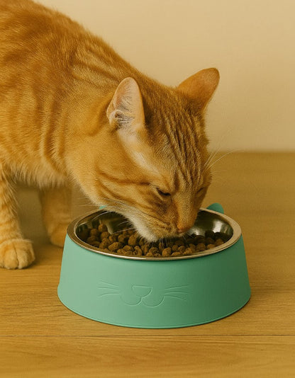 Plato para Gato
