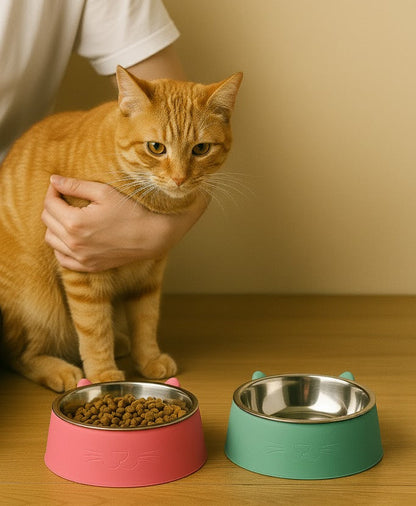 Plato para Gato